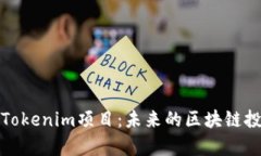 深入分析Tokenim项目：未来