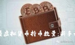 如何查看虚拟货币持币数