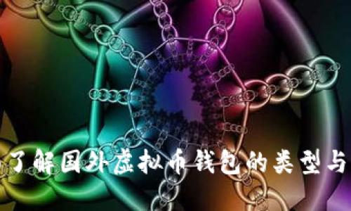 全面了解国外虚拟币钱包的类型与选择