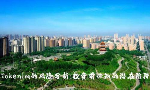 Tokenim的风险分析：投资前必知的潜在陷阱
