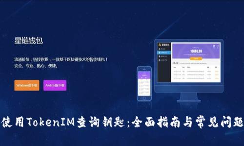 如何使用TokenIM查询钥匙：全面指南与常见问题解答
