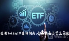 如何使用TokenIM查询钥匙：