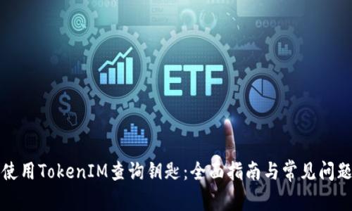 如何使用TokenIM查询钥匙：全面指南与常见问题解答