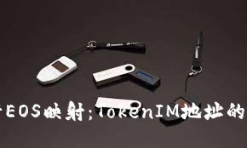 如何进行EOS映射：TokenIM地址的详细指南