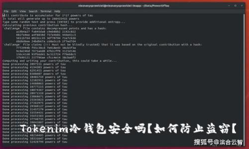  Tokenim冷钱包安全吗？如何防止盗窃？