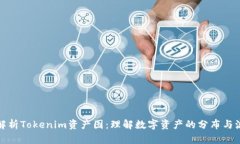 全面解析Tokenim资产图：理