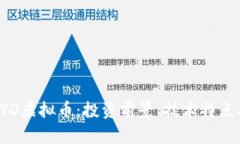 全面解析KYD虚拟币：投资