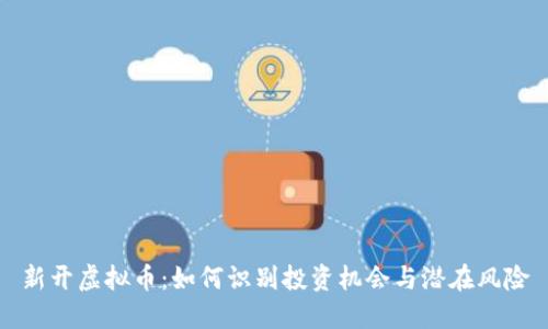 新开虚拟币：如何识别投资机会与潜在风险