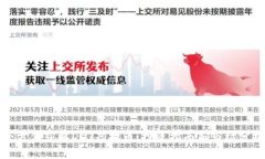 全方位了解DOT虚拟币：投