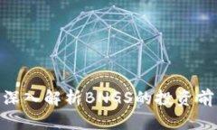 BNGS虚拟币：深入解析BNG