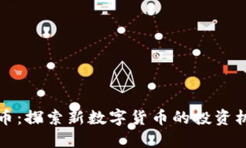 深渊虚拟币：探索新数字货币的投资机会与挑战