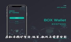 虚拟币挖矿整治：政策、挑战与前景分析