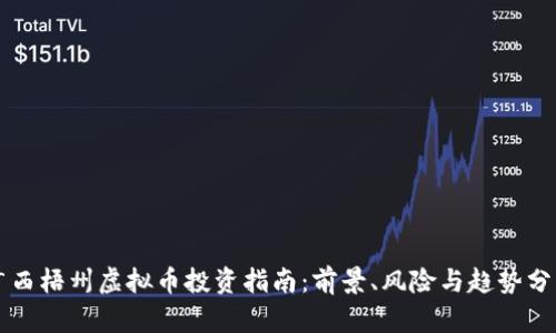广西梧州虚拟币投资指南：前景、风险与趋势分析
