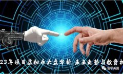 2023年项目虚拟币大盘分析