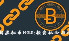 深入了解虚拟币HGS：投资