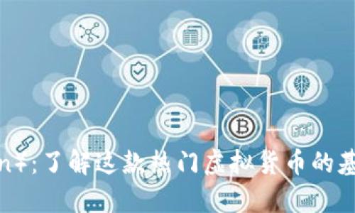 泰迪币（Teddy Coin）：了解这款热门虚拟货币的基础知识与投资潜力