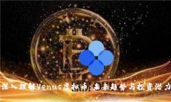 深入理解Venus虚拟币：未来