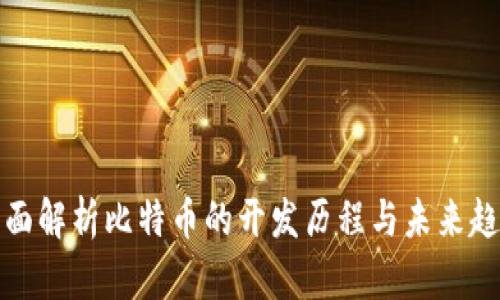 全面解析比特币的开发历程与未来趋势