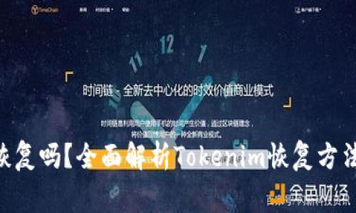 Tokenim能恢复吗？全面解析Tokenim恢复方法与注意事项