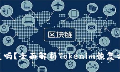 Tokenim能恢复吗？全面解析Tokenim恢复方法与注意事项