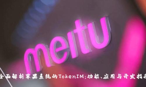 全面解析苹果系统的TokenIM：功能、应用与开发指南