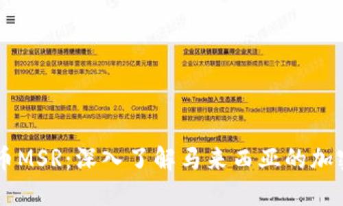 马来虚拟币MSR：深入了解马来西亚的加密货币未来