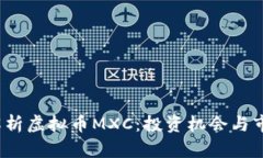  深度解析虚拟币MXC：投资机会与市场前景