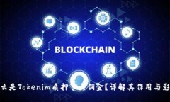 什么是Tokenim质押节点佣金