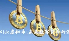 深入了解Xido虚拟币：未来数字货币的潜力与应用