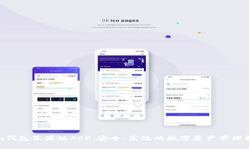 Tokenim钱包苹果版APP：安全、高效的数字资产管理解决方案