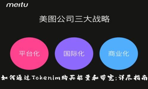 如何通过Tokenim购买能量和带宽：详尽指南