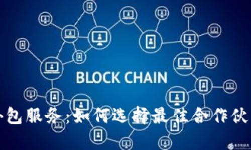 全面解读虚拟币外包服务：如何选择最佳合作伙伴与成功案例分析