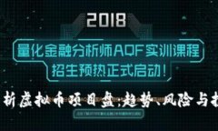  全面解析虚拟币项目盘：趋势、风险与投资策略