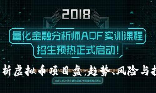  全面解析虚拟币项目盘：趋势、风险与投资策略