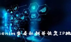 如何通过Tokenim查看私钥并恢复IP地址：全面指南