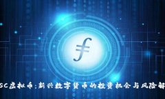 MSC虚拟币：新兴数字货币