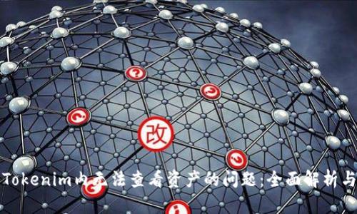 如何解决Tokenim内无法查看资产的问题：全面解析与解决方案