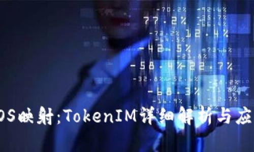 金马EOS映射：TokenIM详细解析与应用实践