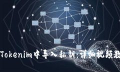 如何在Tokenim中导入私钥：