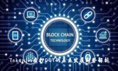 Tokenim质押DOT的未来发展趋