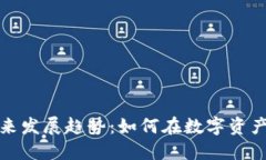 虚拟币拍卖的未来发展趋