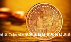 如何通过Tokenim观察区块链