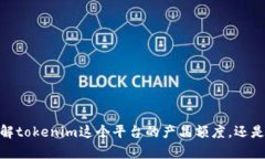 关于“tokenim额度大不大”