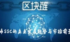虚拟币SSC的未来发展趋势