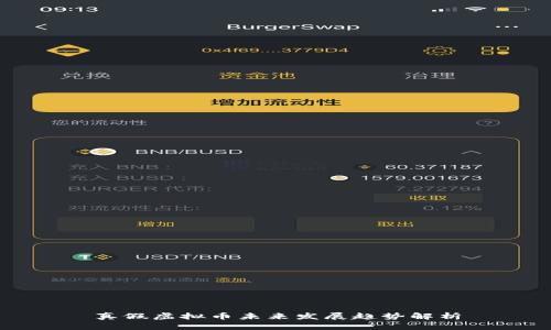 真假虚拟币未来发展趋势解析