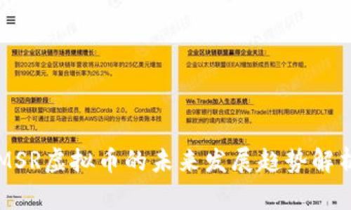 MSR虚拟币的未来发展趋势解析