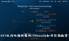 未来人民币和USDT之间的转账变化：Tokenim如何引领