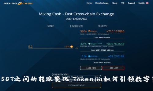 未来人民币和USDT之间的转账变化：Tokenim如何引领数字货币的普及趋势