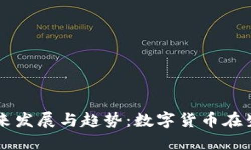 虚拟森林币的未来发展与趋势：数字货币在生态保护中的应用