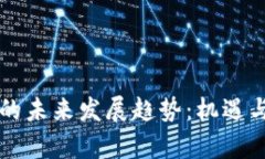 CF虚拟币的未来发展趋势：